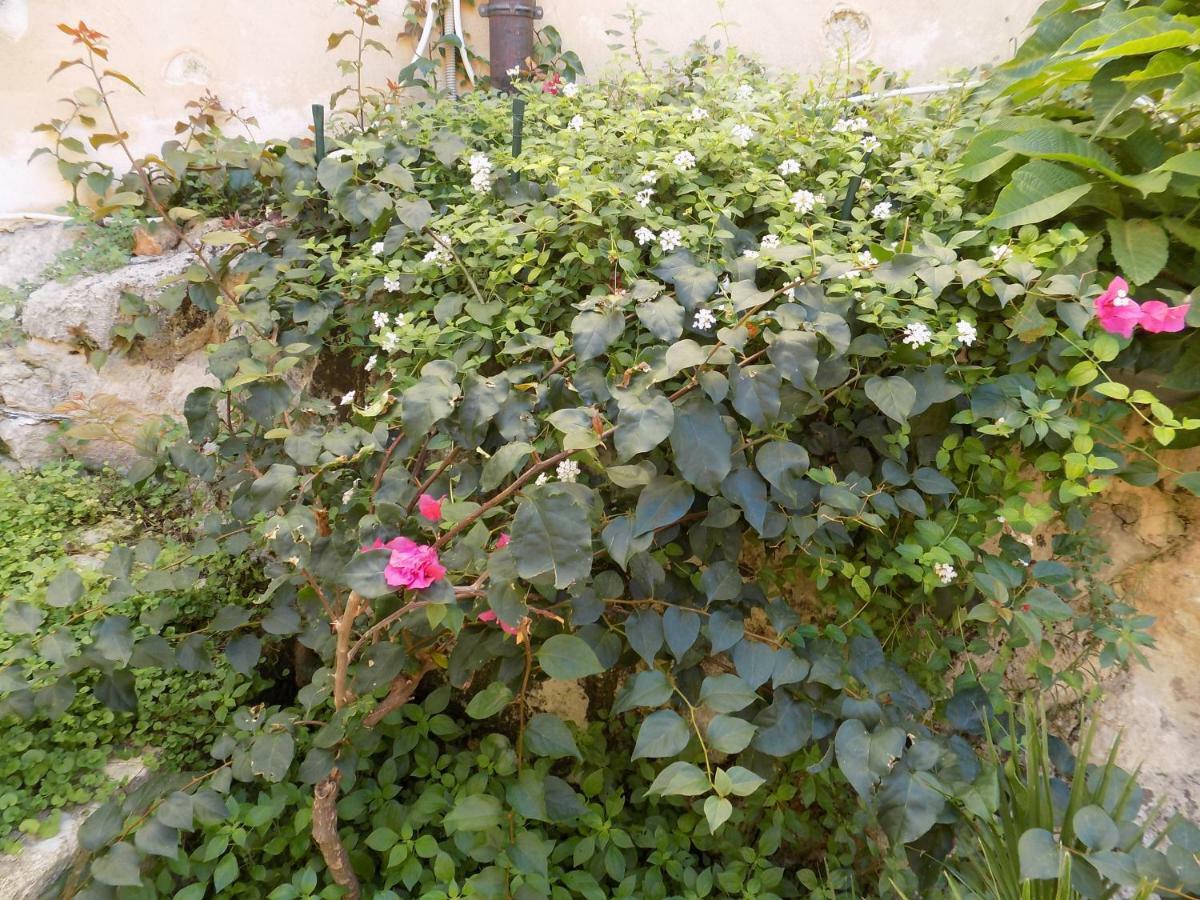 Garden&House Amore Vero Модіка Екстер'єр фото