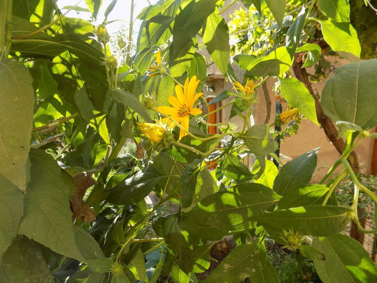 Garden&House Amore Vero Модіка Екстер'єр фото